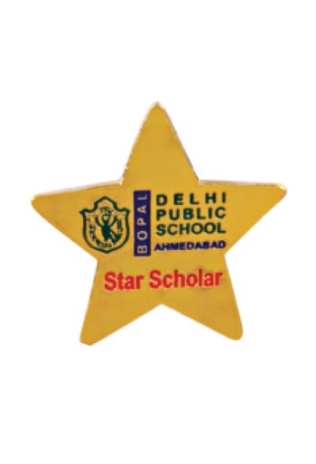 Lapel Pins  Manufacturer in Delhi