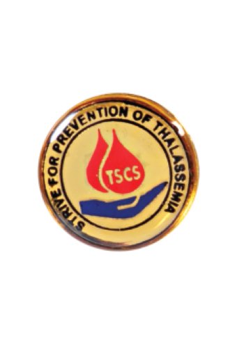 Lapel Pins  Manufacturer in Delhi