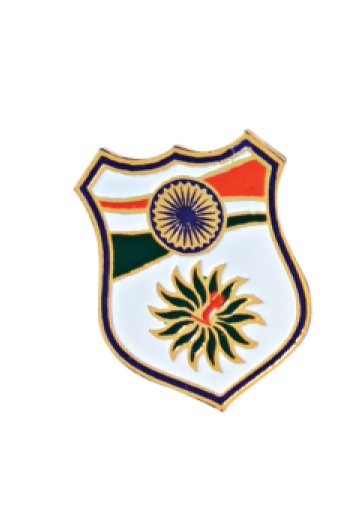 Lapel Pins  Manufacturer in Delhi
