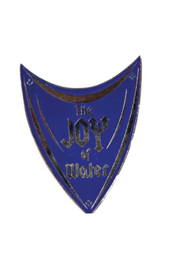 Lapel Pins  Manufacturer in Delhi