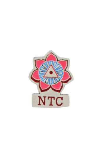 Lapel Pins  Manufacturer in Delhi