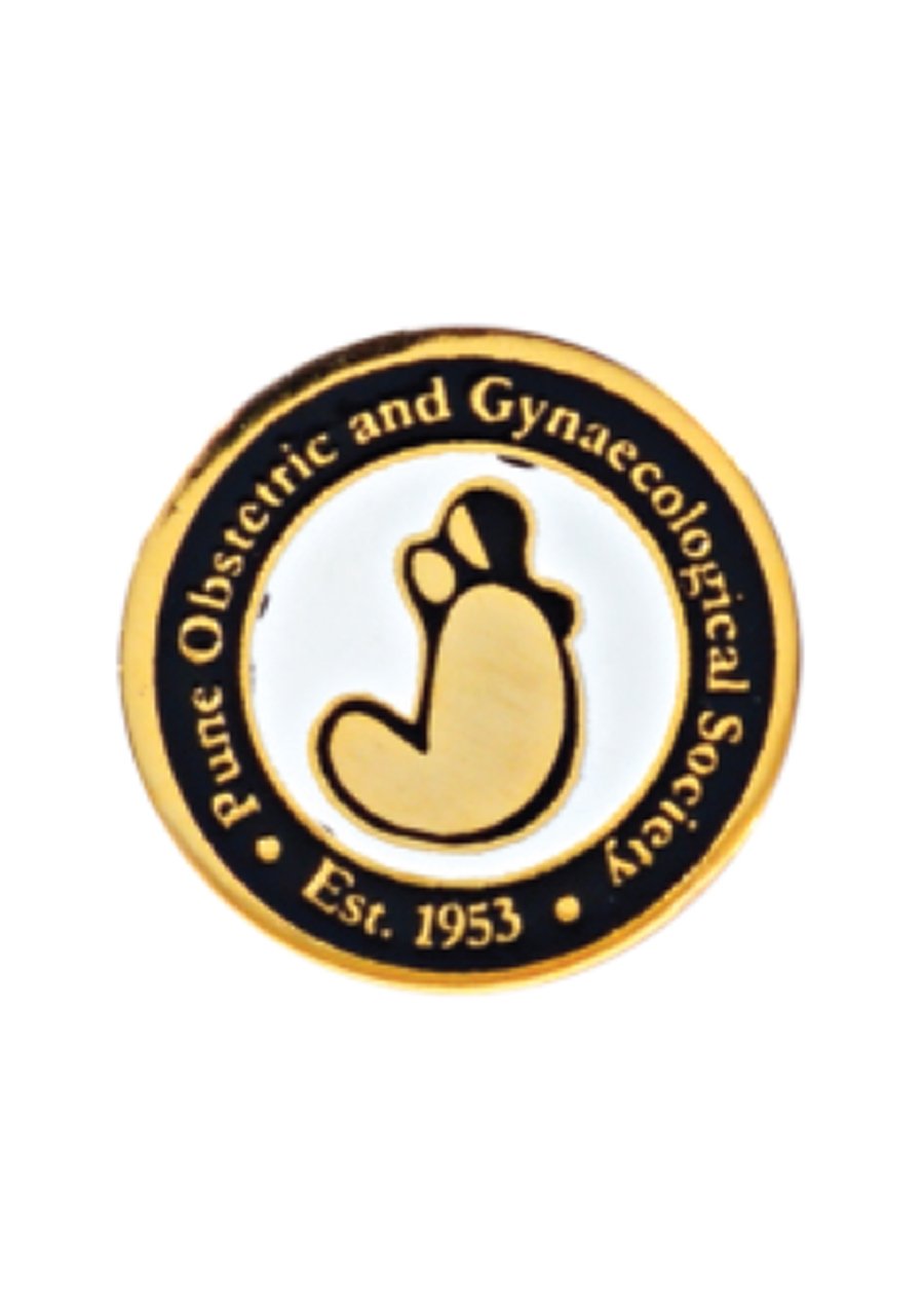 Lapel Pins  Manufacturer in Delhi