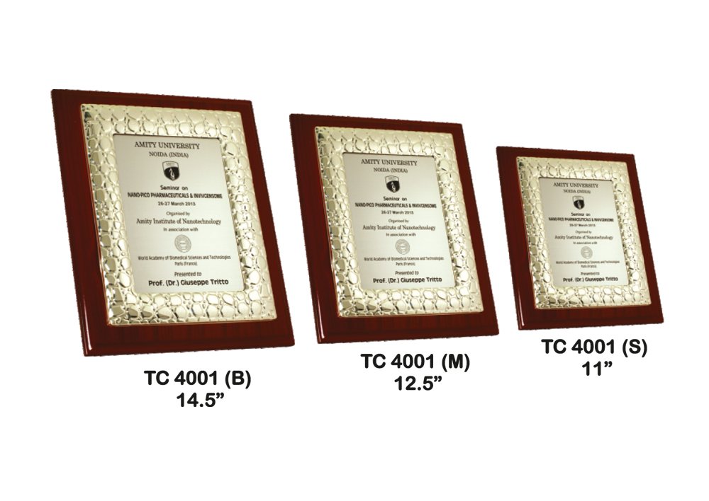 Metal Frame Trophy Manufacturer in Delhi