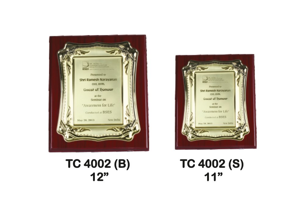 Metal Frame Trophy Manufacturer in in Delhi