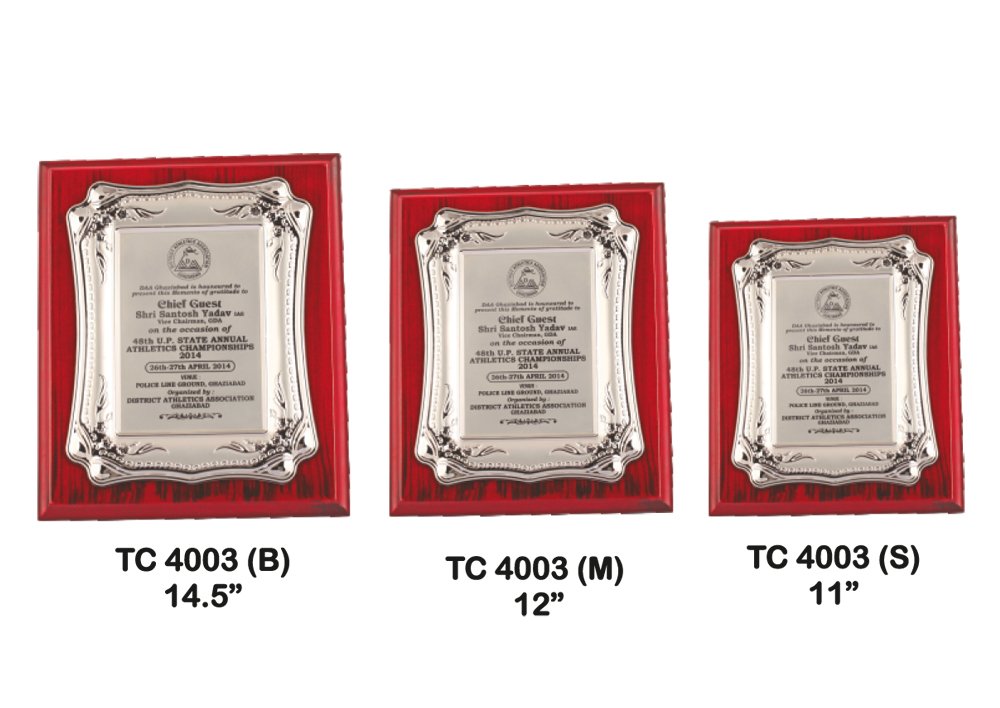 Metal Frame Trophy Manufacturer in Delhi