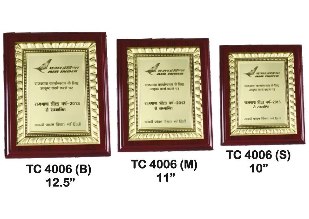 Metal Frame Trophy Manufacturer Shop in Noida