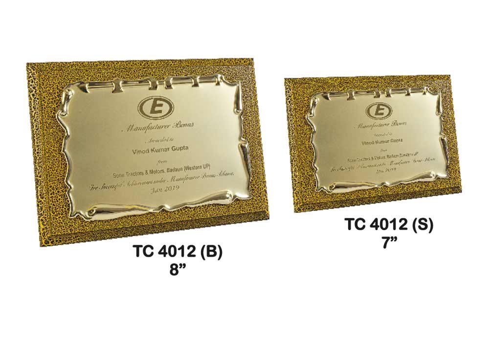 Metal Frame Trophy Manufacturer in Ghaziabad