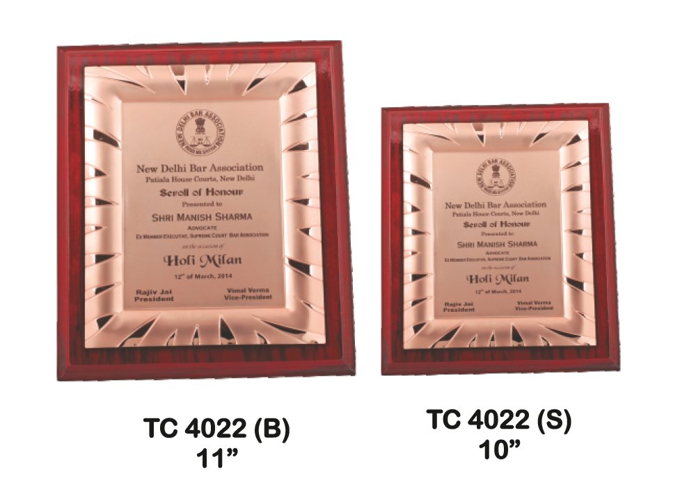Metal Frame Trophy Supplier in Prayagraj