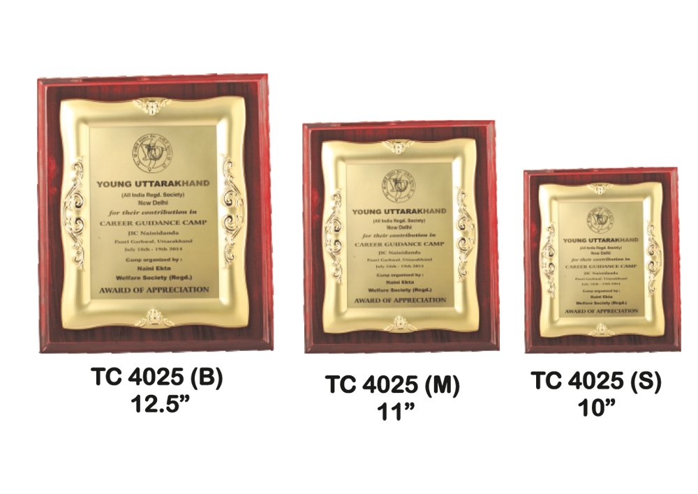 Custom Metal Frame Trophy Supplier in Delhi