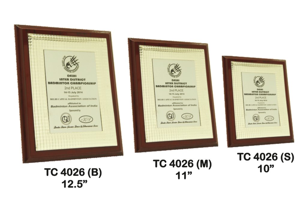 Custom Metal Frame Trophy Supplier in Delhi