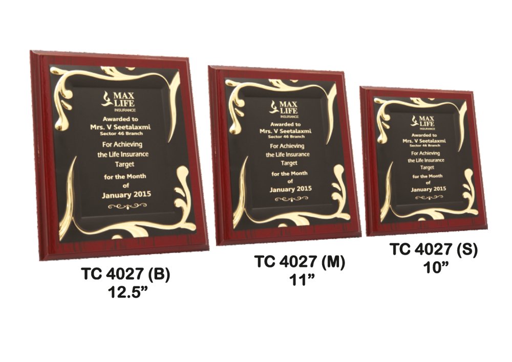 Custom Metal Frame Trophy Supplier in Delhi