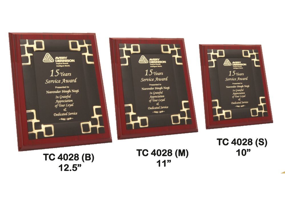 Customized Metal Frame Trophy Supplier in Delhi