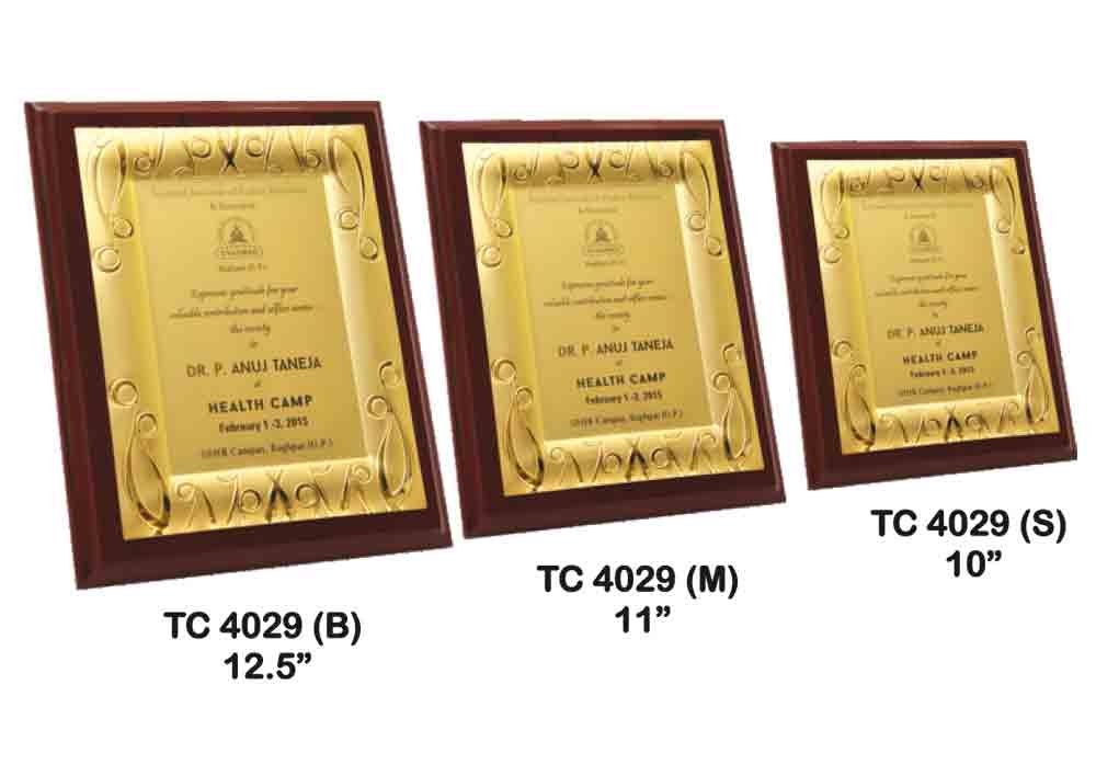 Customized Metal Frame Trophy Supplier in Delhi