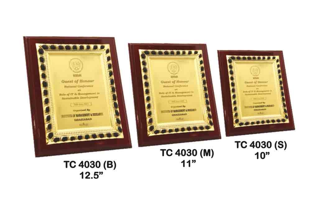 Metal Frame Trophy Shop in Delhi