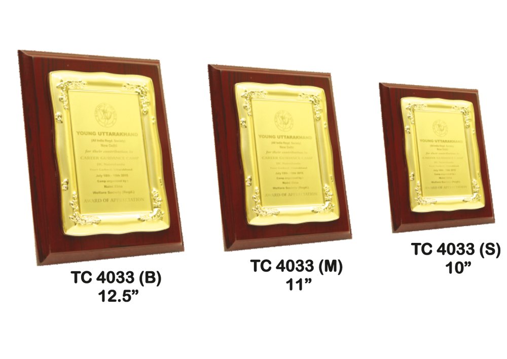 Metal Frame Trophy Shop in Delhi