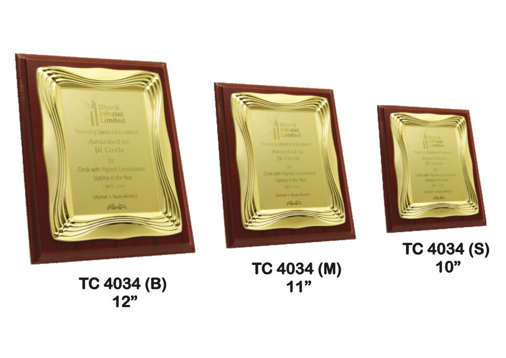 Metal Frame Trophy maker in Delhi