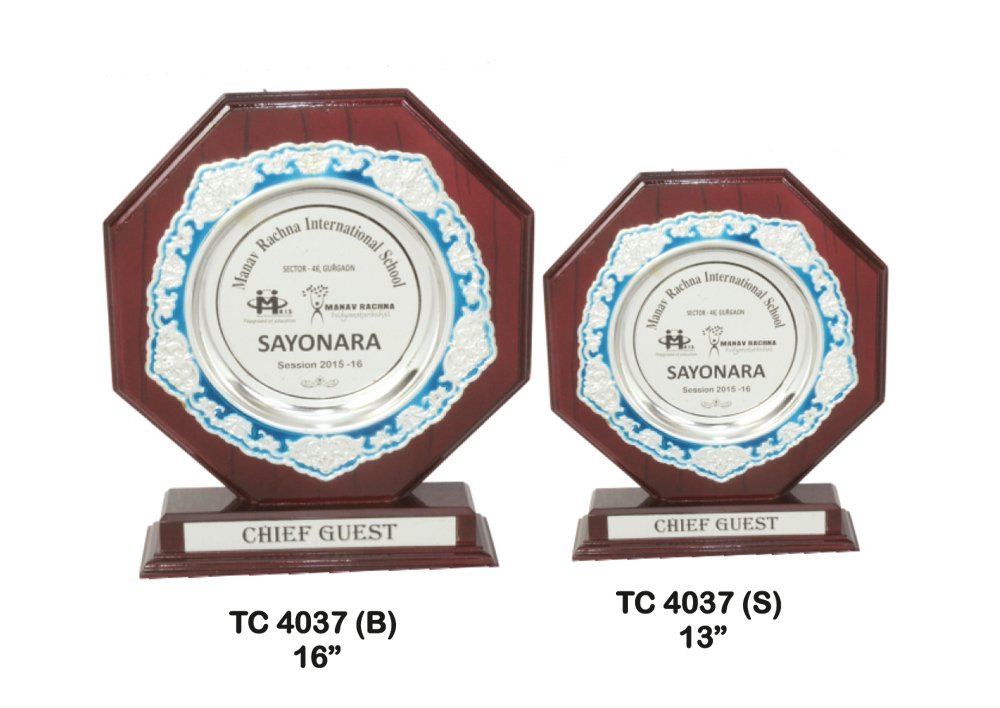 Metal Frame Trophy maker in Delhi