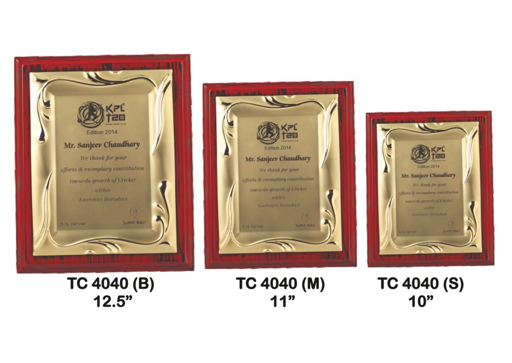 Metal Frame Trophy shop in Noida