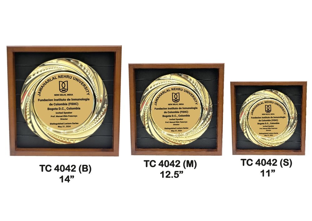 Metal Frame Trophy shop in Noida