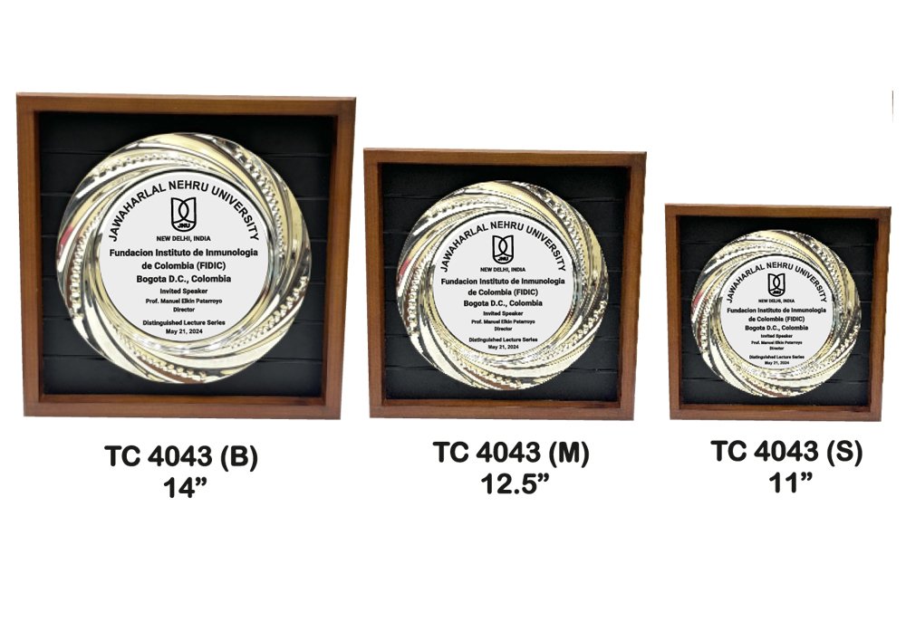 Metal Frame Trophy shop in Noida