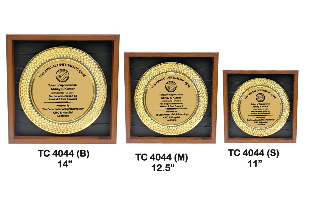 Metal Frame Trophy shop in Gurugram