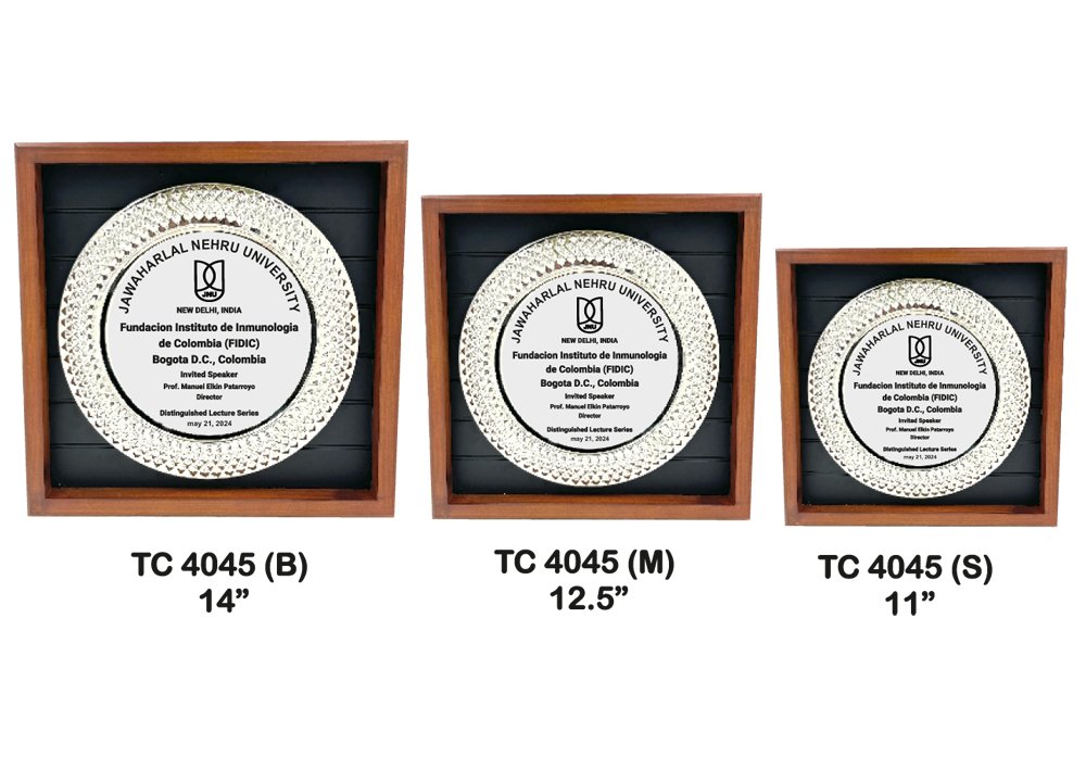Metal Frame Trophy shop in Gurugram