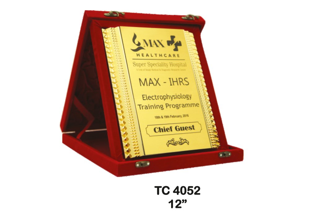Metal Frame Trophy shop in Gurgaon