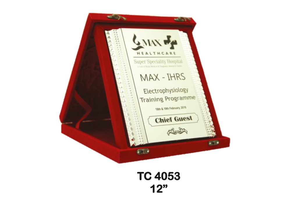 Metal Frame Trophy shop in Gurgaon