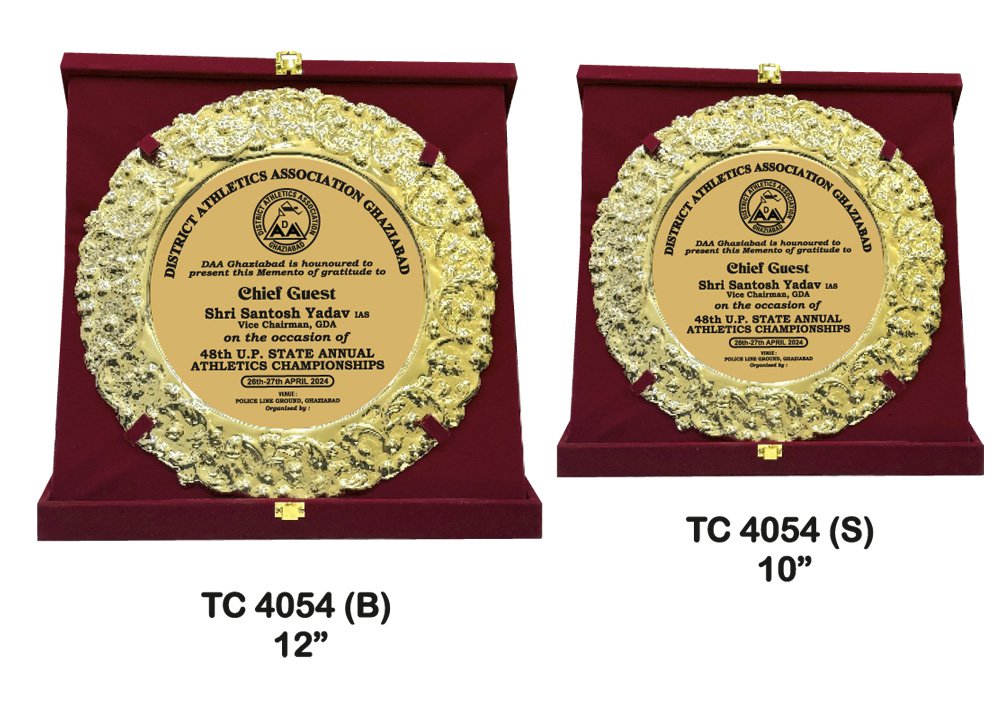 Metal Frame Trophy shop in Gurgaon