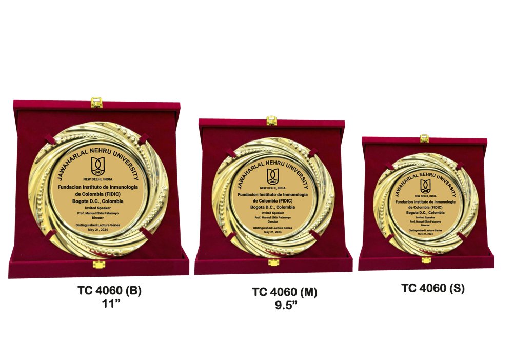 Metal Frame Trophy Manufacturer in Delhi