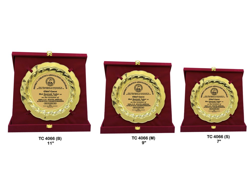 Metal Frame Mementoes Manufacturer in Delhi