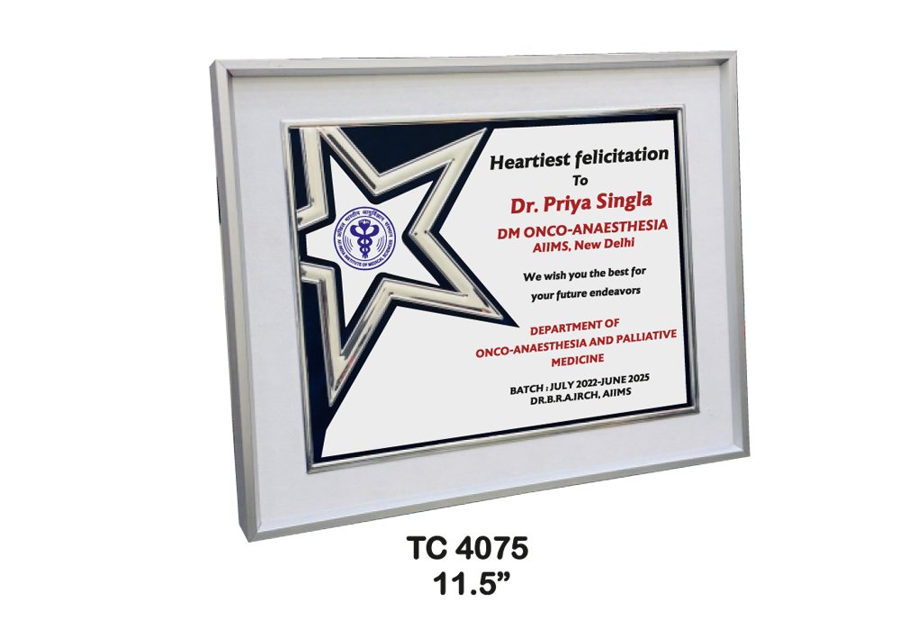 Metal Frame Trophy Manufacturer in India