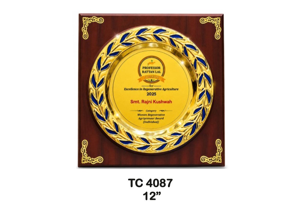 Metal Frame Trophy Manufacturer in Uttrakhand