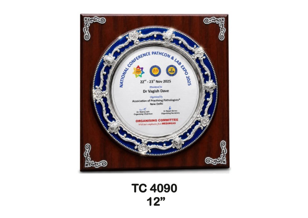 Metal Frame Trophy Manufacturer in Lucknow