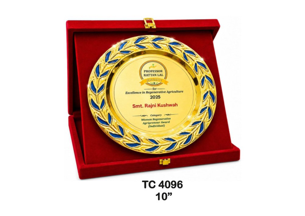 Metal Frame Trophy Supplier in Lucknow