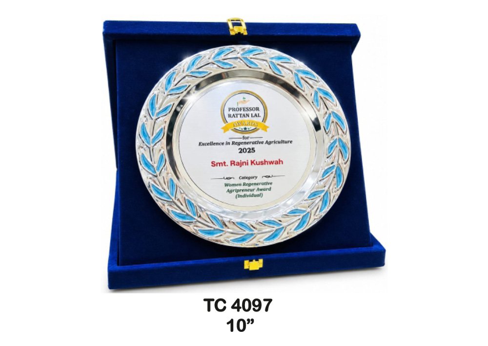 Metal Frame Trophy Supplier in Lucknow