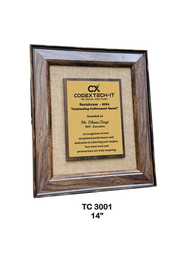 Plastic Frame Trophy Manufacturer in Delhi