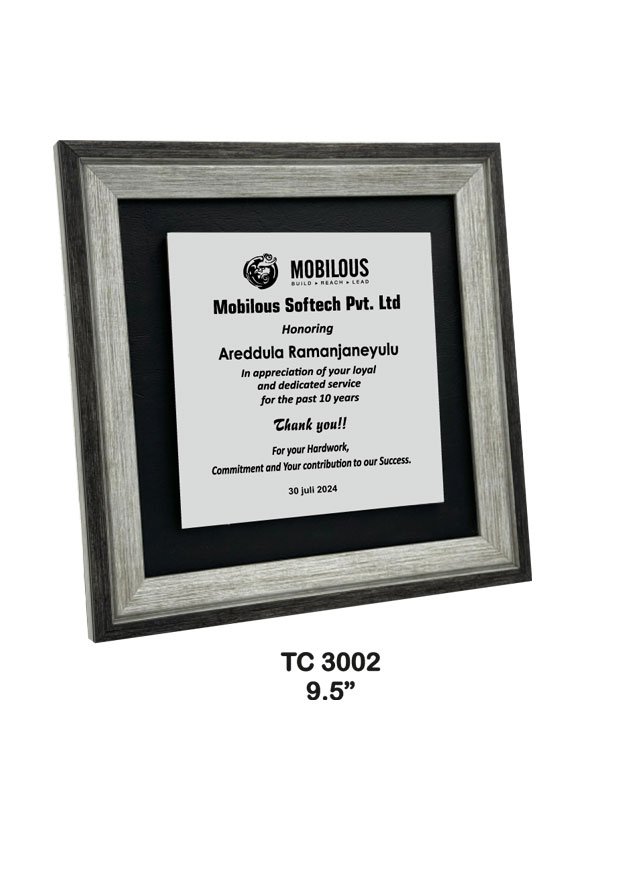 >Plastic Frame Trophy Manufacturer in Delhi