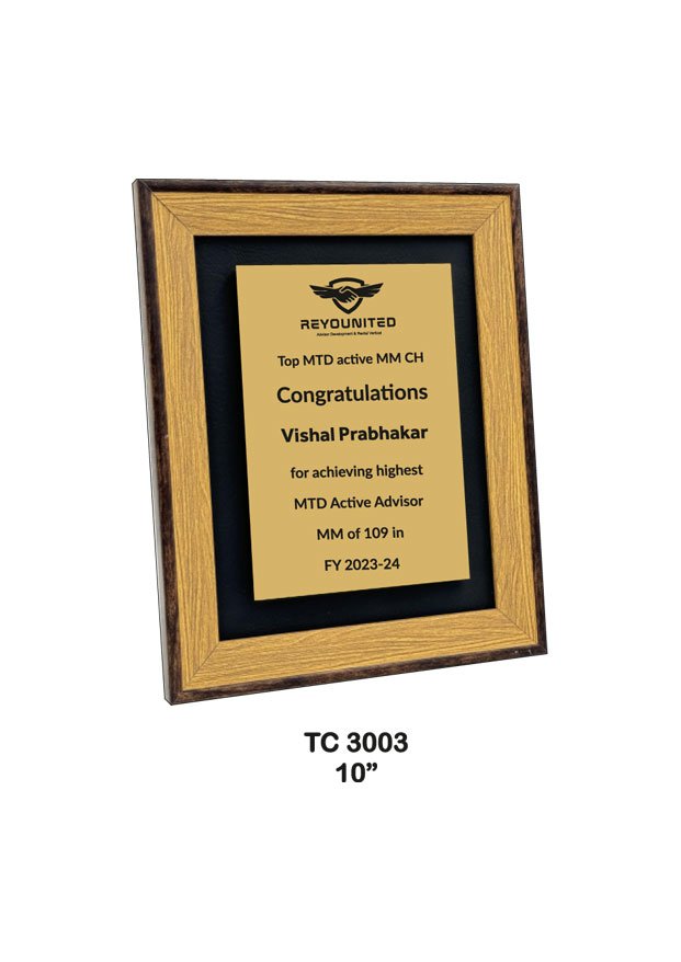 Plastic Frame Trophy Manufacturer in Delhi NCR