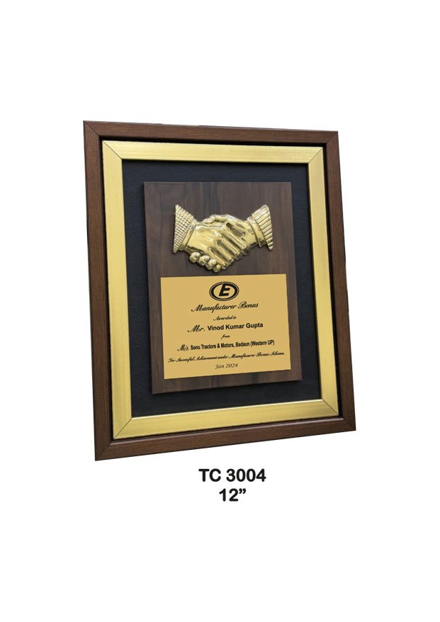 Plastic Frame Trophy Supplier in Delhi