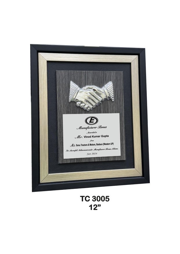 Plastic Frame Trophy Manufacturer in Noida