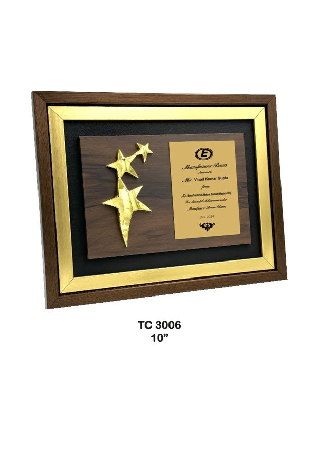Plastic Frame Trophy Manufacturer in Noida