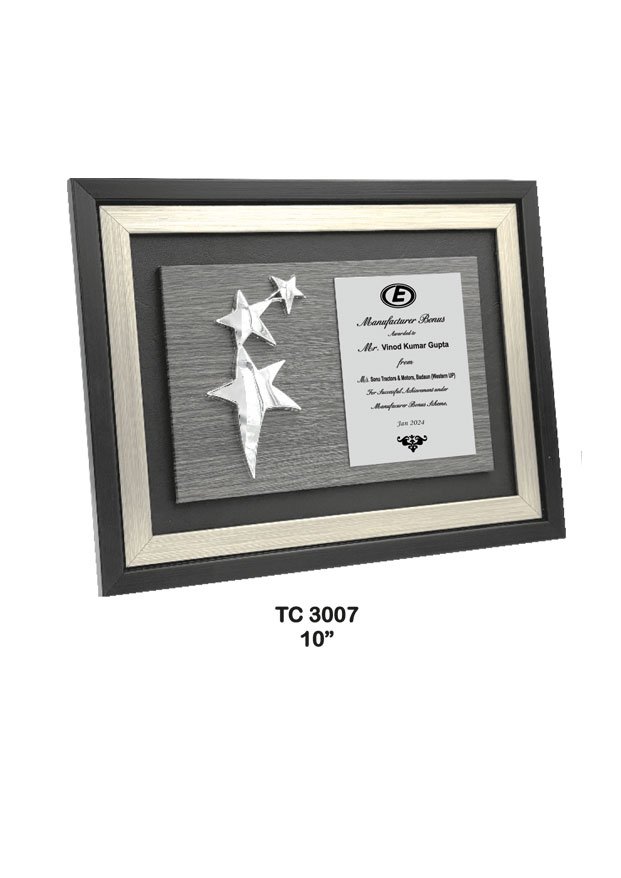 Plastic Frame Trophy Manufacturer in Noida