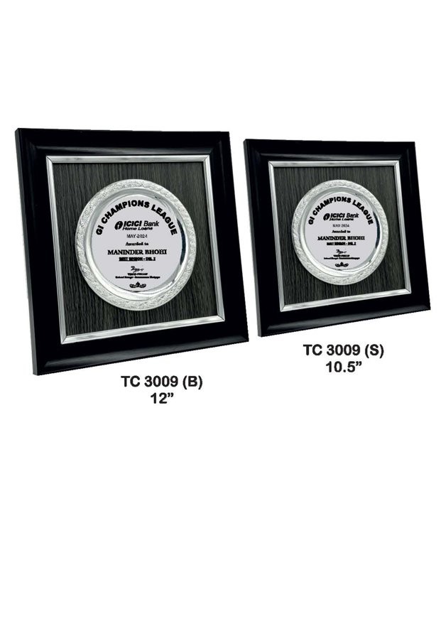 Plastic Frame Trophy Manufacturer in Gurugram