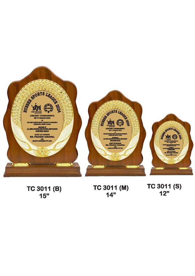 Plastic Frame Trophy Manufacturer in Gurugram