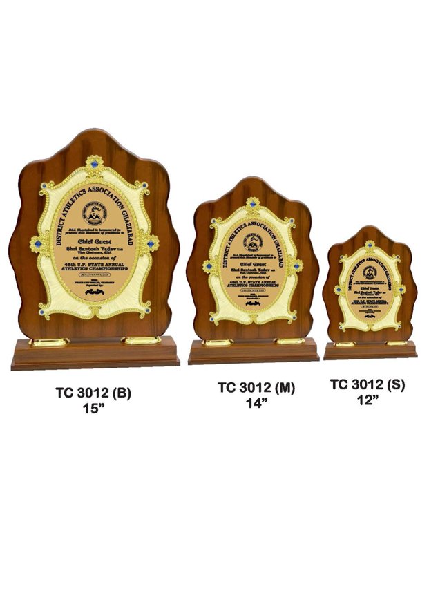 Plastic Frame Trophy Manufacturer in Gurugram