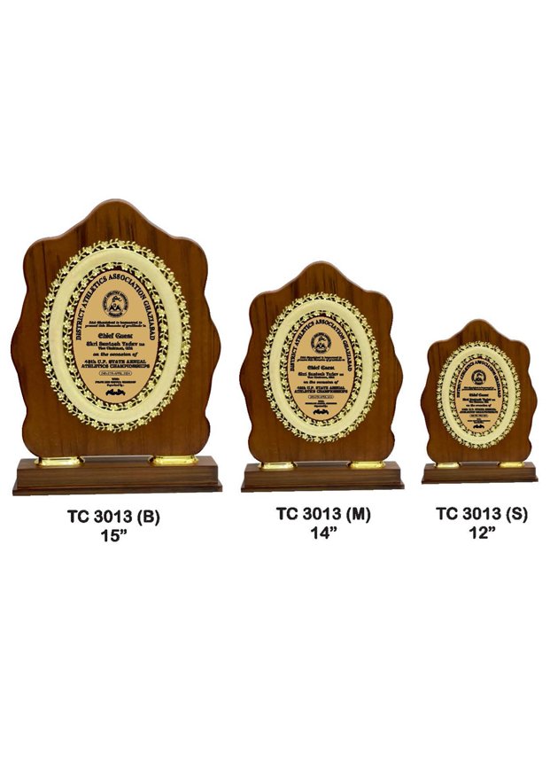Plastic Frame Trophy Shop in Delhi