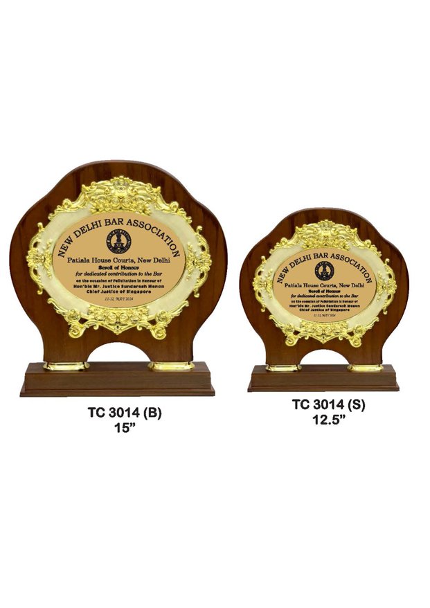 Plastic Frame Trophy Shop in Delhi