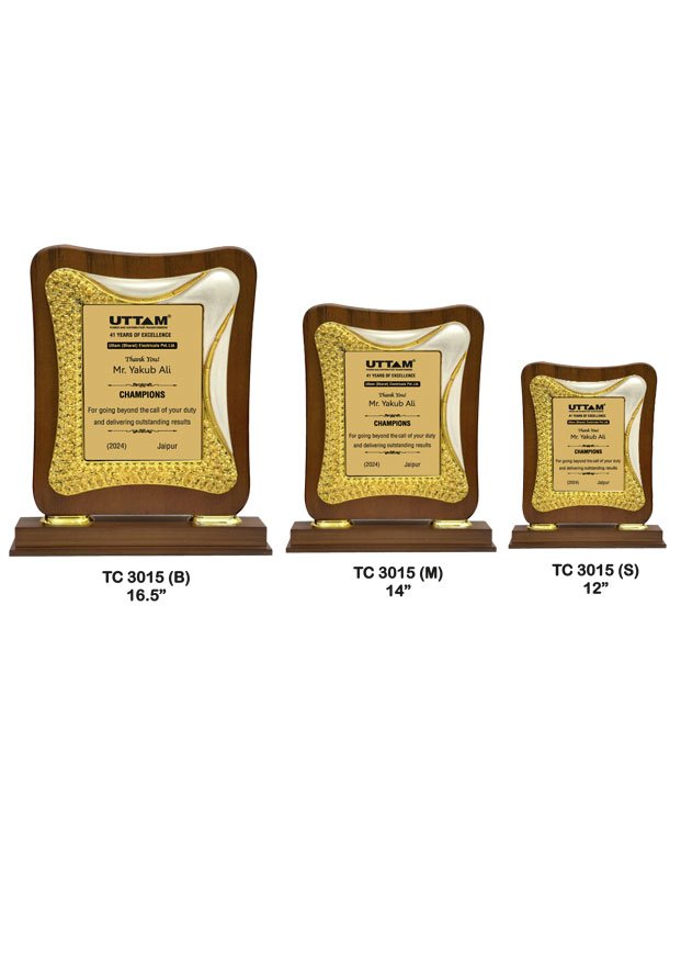 Plastic Frame Trophy Shop in Delhi