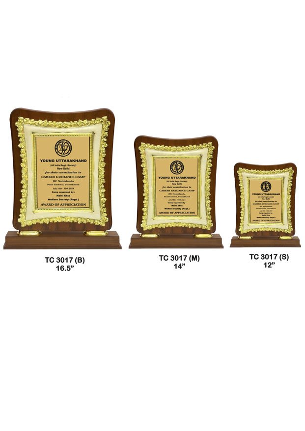 Plastic Frame Trophy Supplier in Delhi